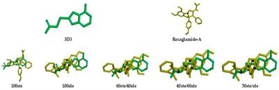 Hierarchical Virtual Screening Based on Rocaglamide Derivatives to Discover New Potential Anti-Skin Cancer Agents